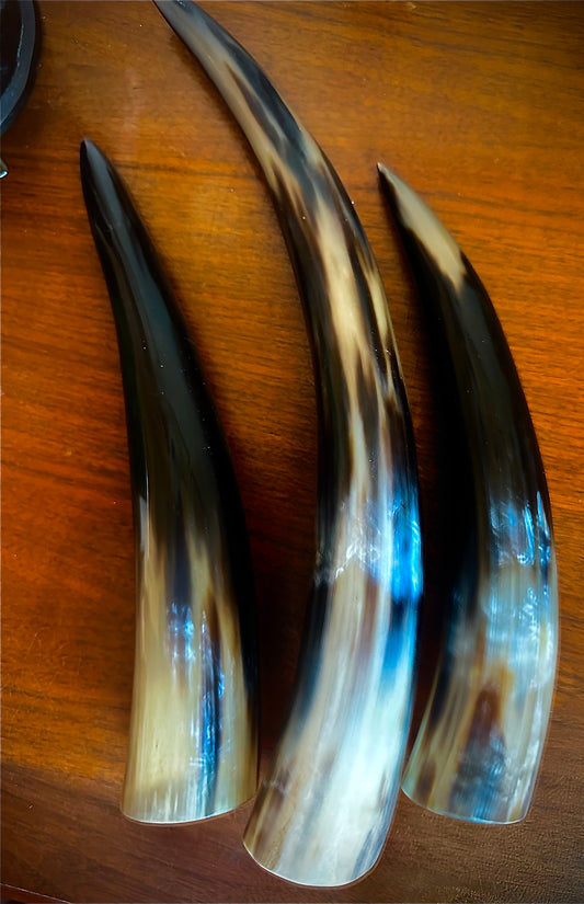 Drinking Horn